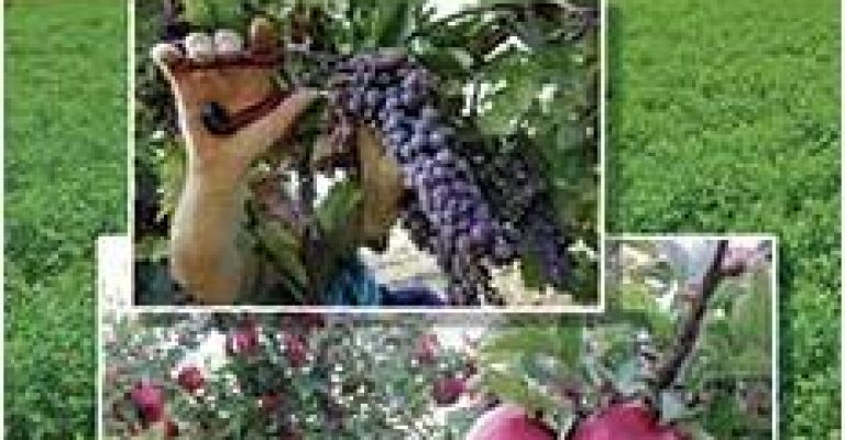 کتاب زراعت و باغبانی عمومی
