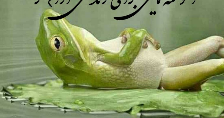 آموخته هایی برای زندگی آرام تر