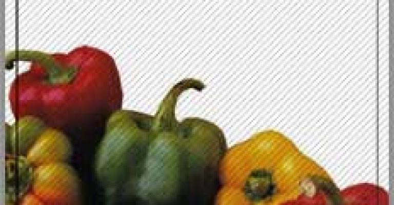 دانلود رایگان کتاب آموزش آشپزی
