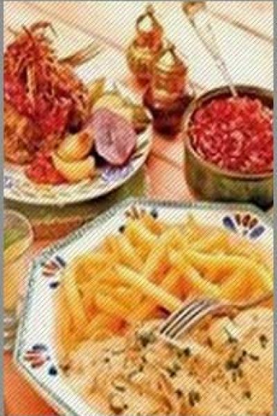 کتاب آموزش آشپزی غذاهای شرقی، غربی، ترکی و عربی