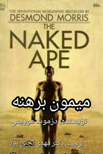 کتاب میمون برهنه-نوشته دزموند موریس