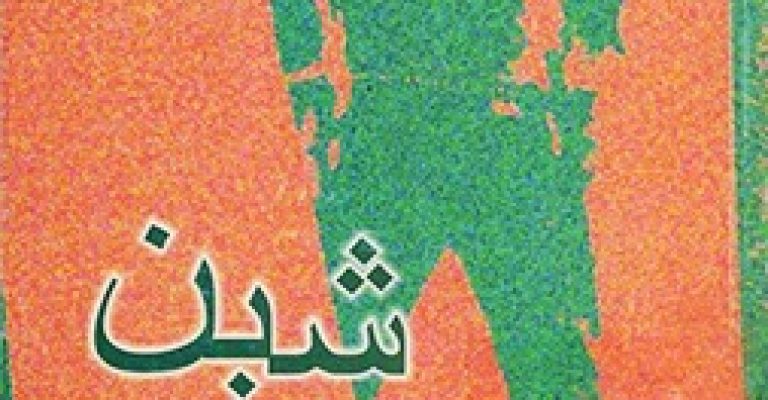 رمان شین نوشته ی جک شیفر