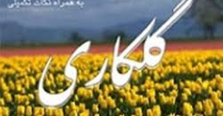 دانلود رایگان کتاب گلکاری – نویسنده: حسن صالحی