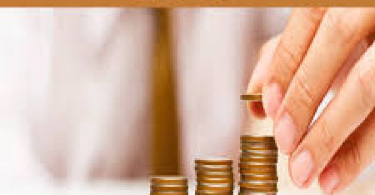کتاب پولدار شیم-نوشته سهیل شیوافر