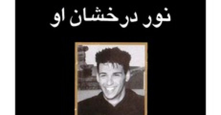 دانلود کتاب نور درخشان او-نور درخشان او-نوشته دانیل استیل