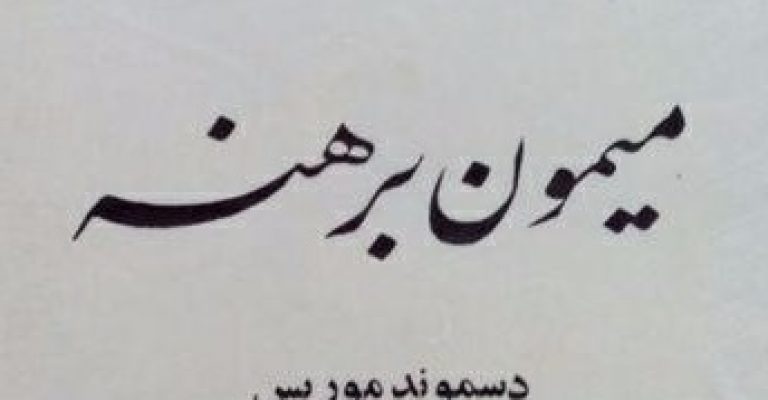 دانلود کتاب میمون برهنه نوشته دزموند موریس-میمون برهنه