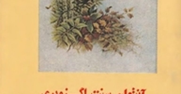دانلود کتاب سرزمین آدمیان – نوشته آنتوان دو سنت اگزوپری