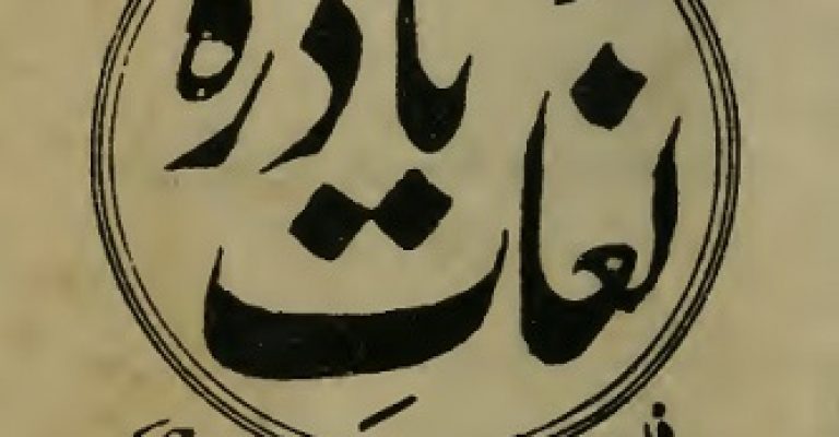 لغت نامه فارسی به اردو (لغات نادره) کمیاب چاپ پاکستان – چاپ سنگی