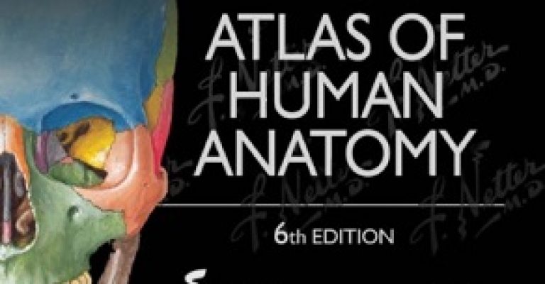 دانلود Atlas of Human Anatomy – مجموعه سبز نتر