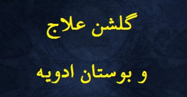گلشن علاج و بستان ادویه کتاب خطی طب سنتی